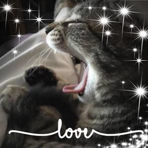 Meet your Posher, Phyllis